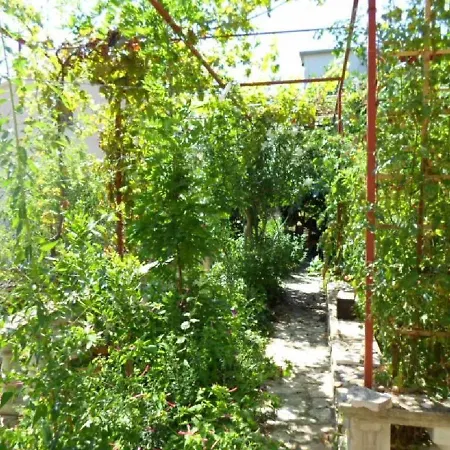 Apartment Miodrag