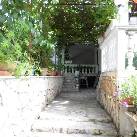 Miodrag روغوزنيكا