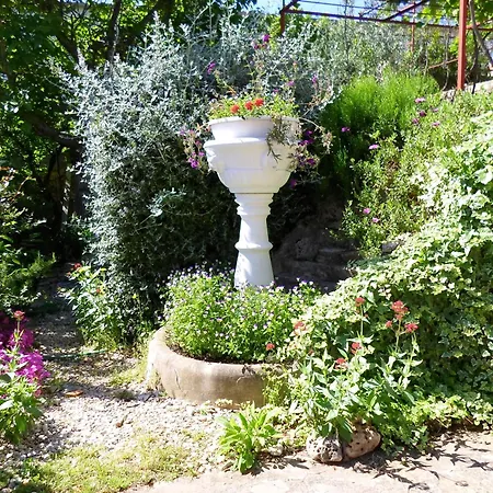 Apartment Miodrag Rogoznica (Sibenik-Knin)