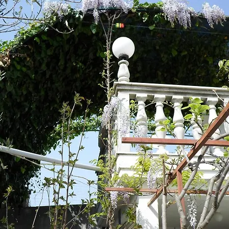Miodrag Apartment Rogoznica (Sibenik-Knin)
